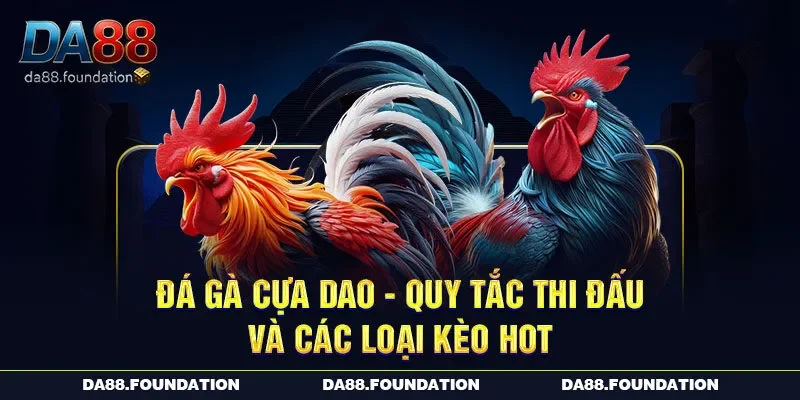 Đá Gà Cựa Dao – Quy Tắc Thi Đấu Và Các Loại Kèo Hot